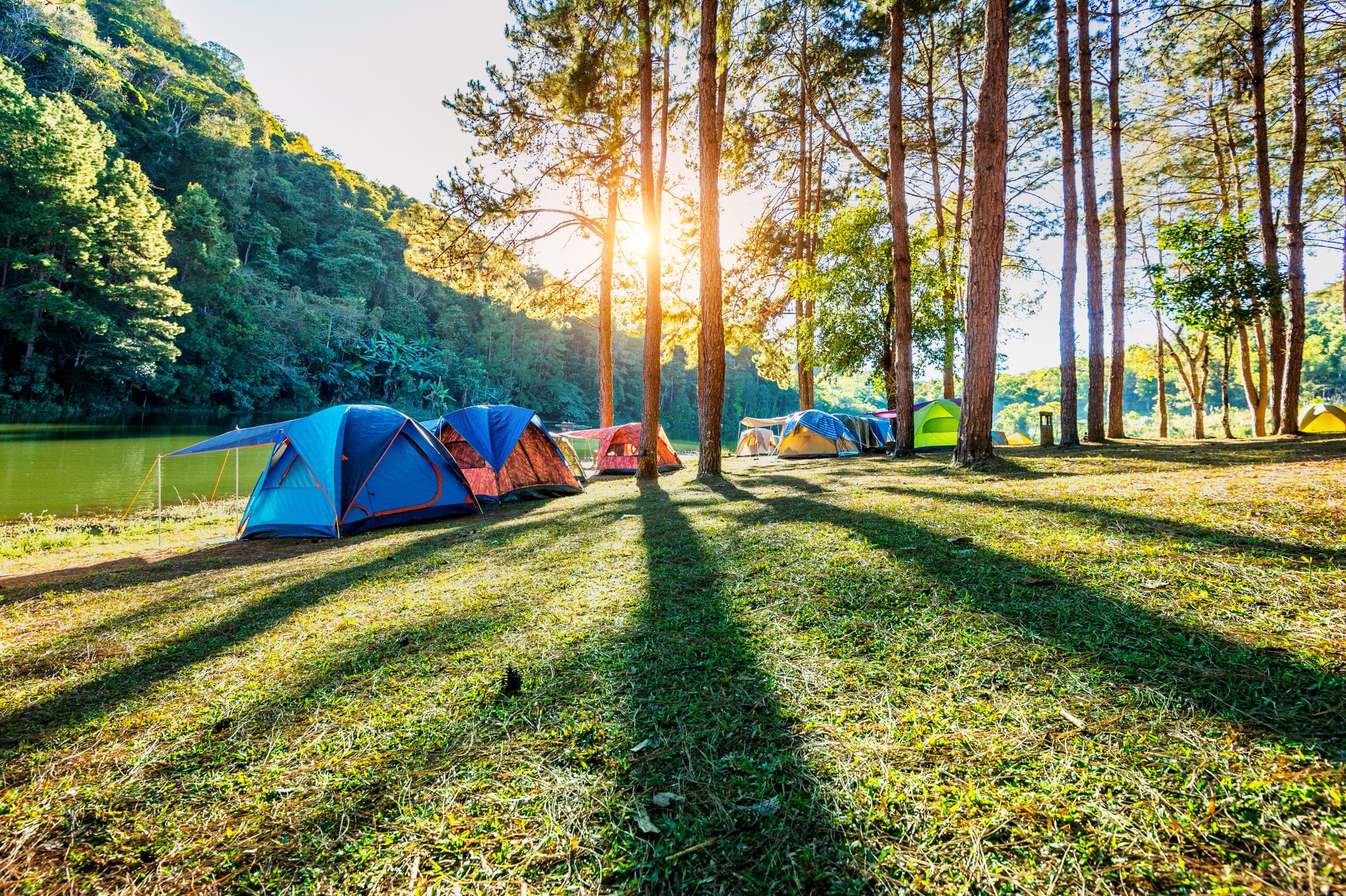 Camping tents under pine trees with sunlight at Pang Ung lake, M Camping tents under pine trees with sunlight at Pang Ung lake, Mae Hong Son in THAILAND.