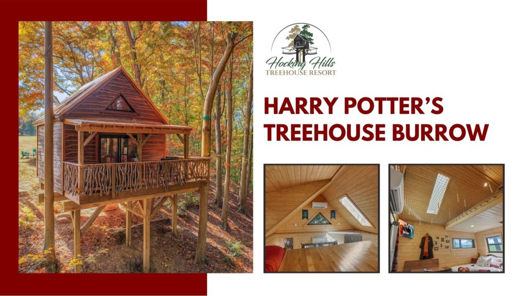 The Harry Potter Treehouse three images of the interior and exterior of the treehouse