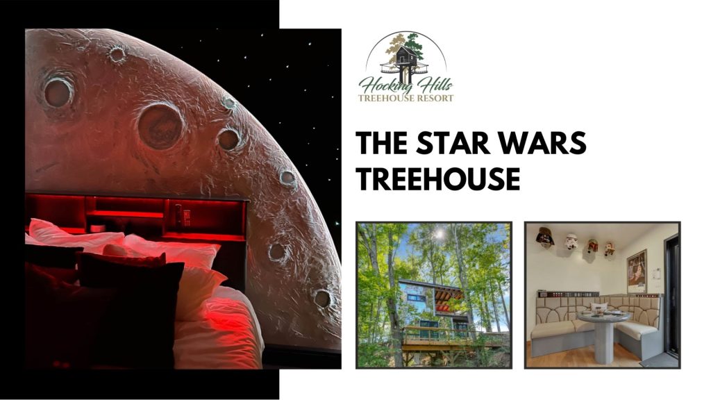 The Star Wars Treehouse three images of the interior and exterior of the treehouse