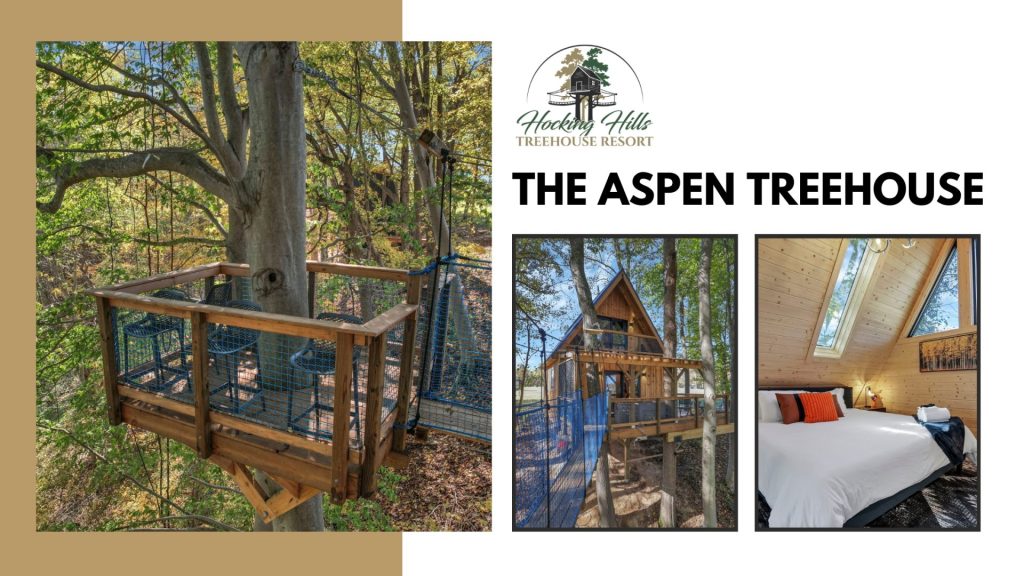 The Aspen Treehouse three images of the interior and exterior of the treehouse